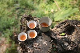 茶艺