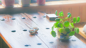 茶艺