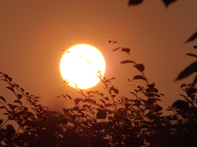 落日