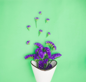 薰衣草