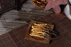 中医·中药·药理