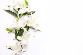 百合花