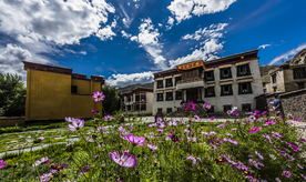 格桑花