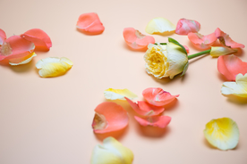 花瓣
