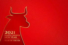 牛 新年展板背景