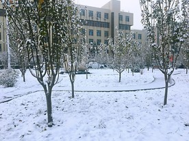 校园雪景