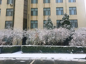 校园雪景