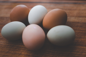 鸡蛋
