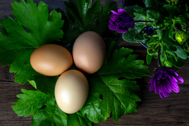 鸡蛋