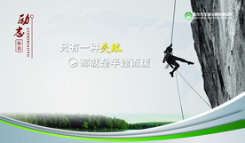公司文化