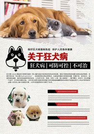 狂犬病    预防