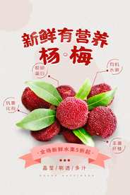 杨梅水果促销活动宣传海报素材