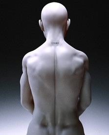 C4D模型人体后背