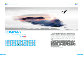 公司文化