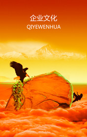 公司文化