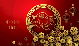 牛年2021