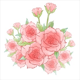 玫瑰