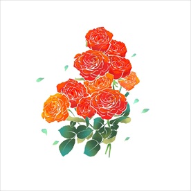 玫瑰