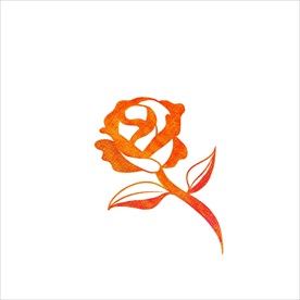 玫瑰