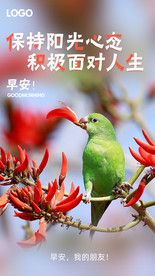 早安海报 问候海报 动物海报