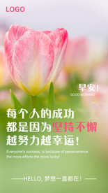 早安海报 励志海报 问候 花朵