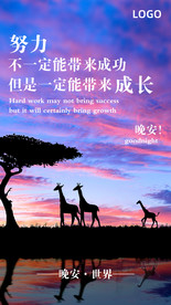 晚安海报 问候海报 动物