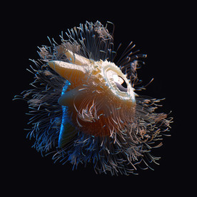 C4D模型眼球怪兽生物