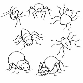 蜘蛛