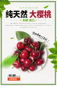 纯天然樱桃水果活动宣传海报素材