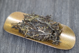 普洱茶茶饼生茶