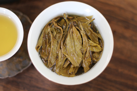 叶底 普洱茶生茶