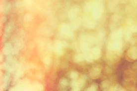 光斑黄色模糊散景背景纹理素材