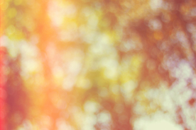 光斑黄色模糊散景背景纹理素材