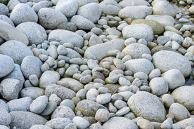 鹅卵石