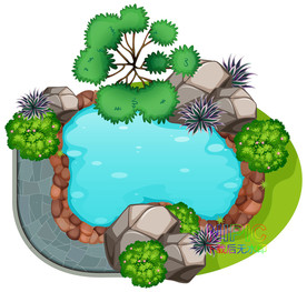 植物顶视图