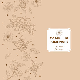 手绘花草背景图片