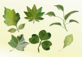 植物叶子剪影图片