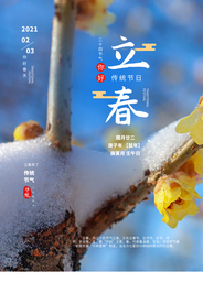 立春节气传统活动宣传海报素材