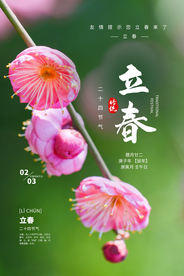 立春传统节气活动宣传海报素材