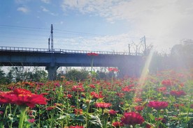 植物园