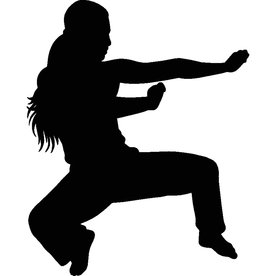 武术格斗剪影
