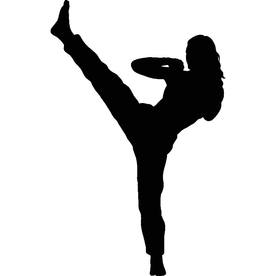 武术格斗剪影