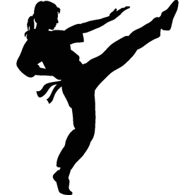 武术格斗剪影