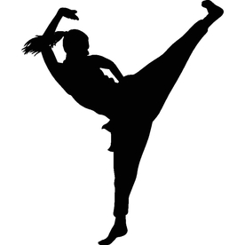 武术格斗剪影