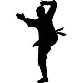 武术格斗剪影