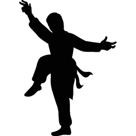 武术格斗剪影