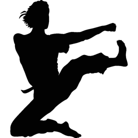 武术格斗剪影
