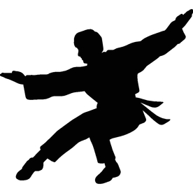 武术格斗剪影