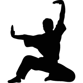 武术格斗剪影