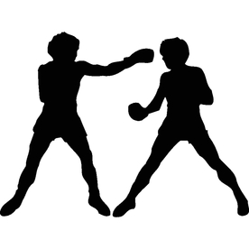 武术格斗剪影